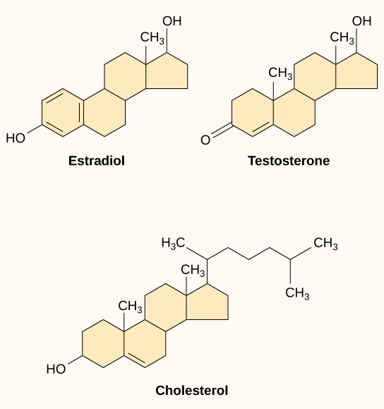 1. Enhancing Your Health with Natural Estrogen: Don't Just Believe, Achieve!